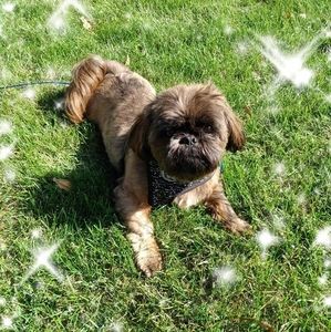 Meet your Posher, June